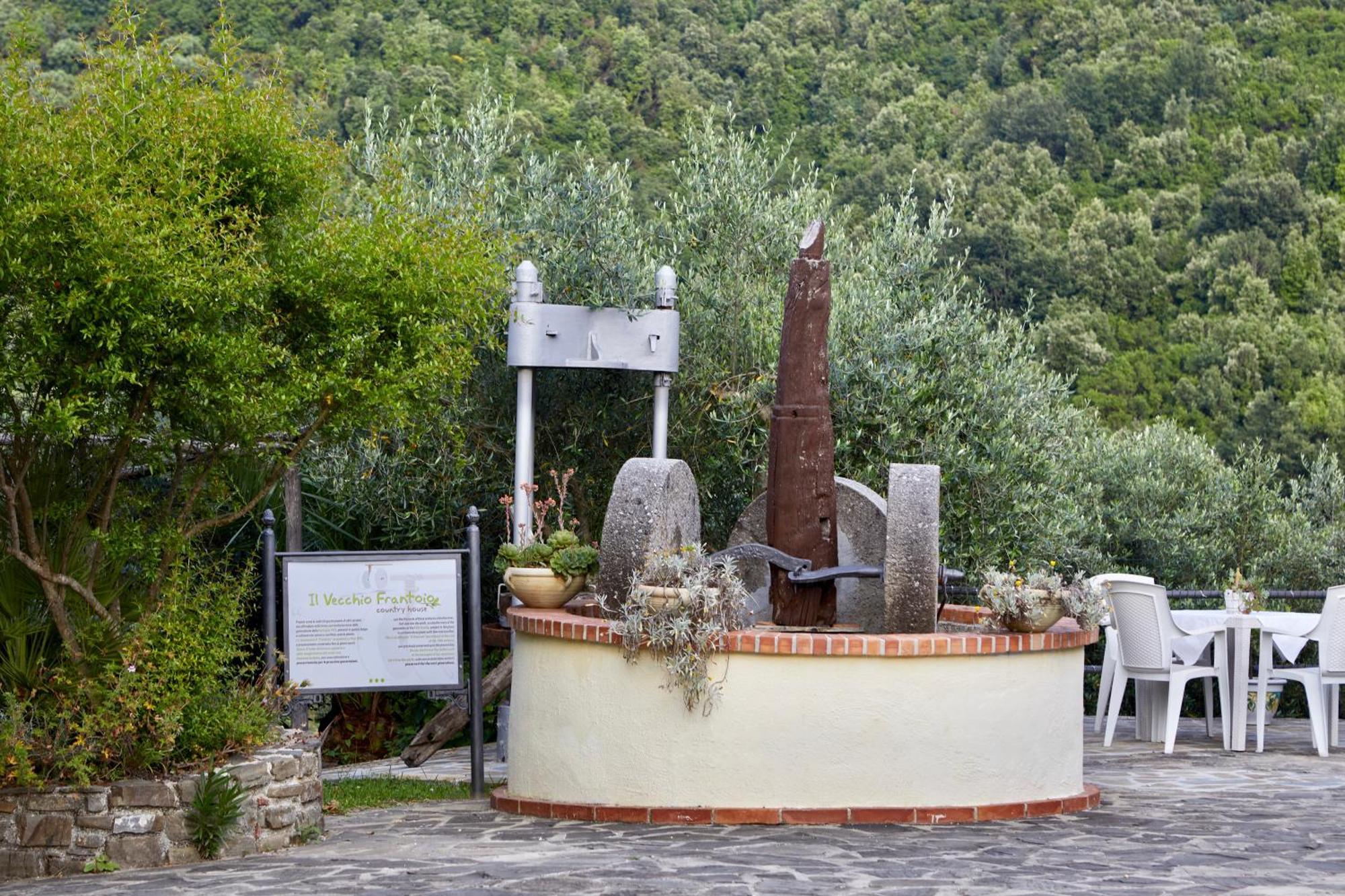 Vila Il Vecchio Frantoio Stella Cilento Exteriér fotografie