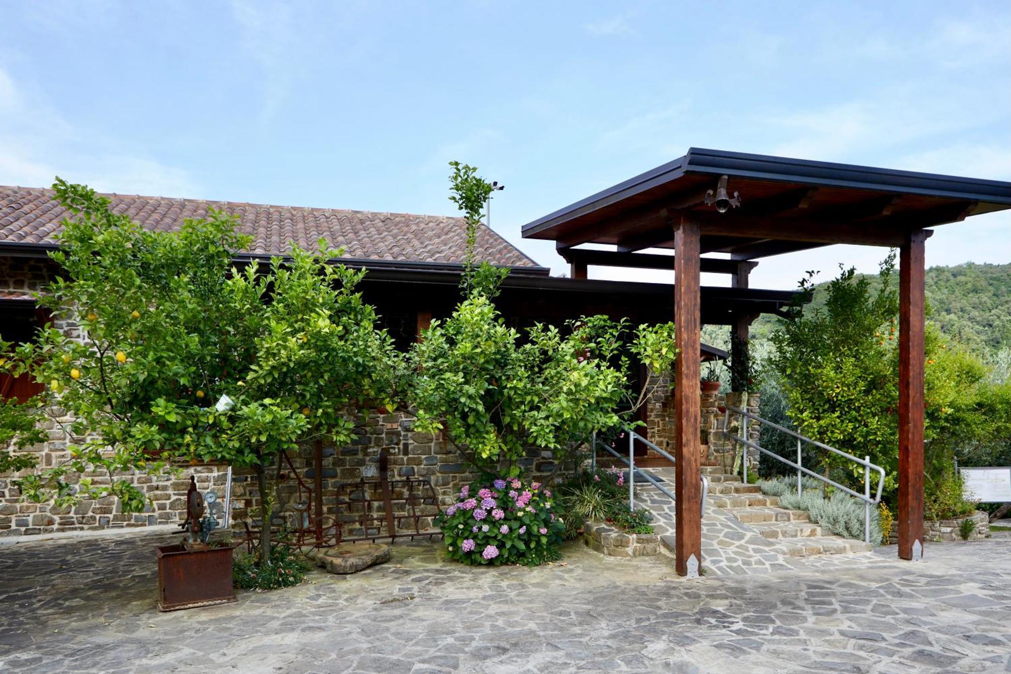 Vila Il Vecchio Frantoio Stella Cilento Exteriér fotografie