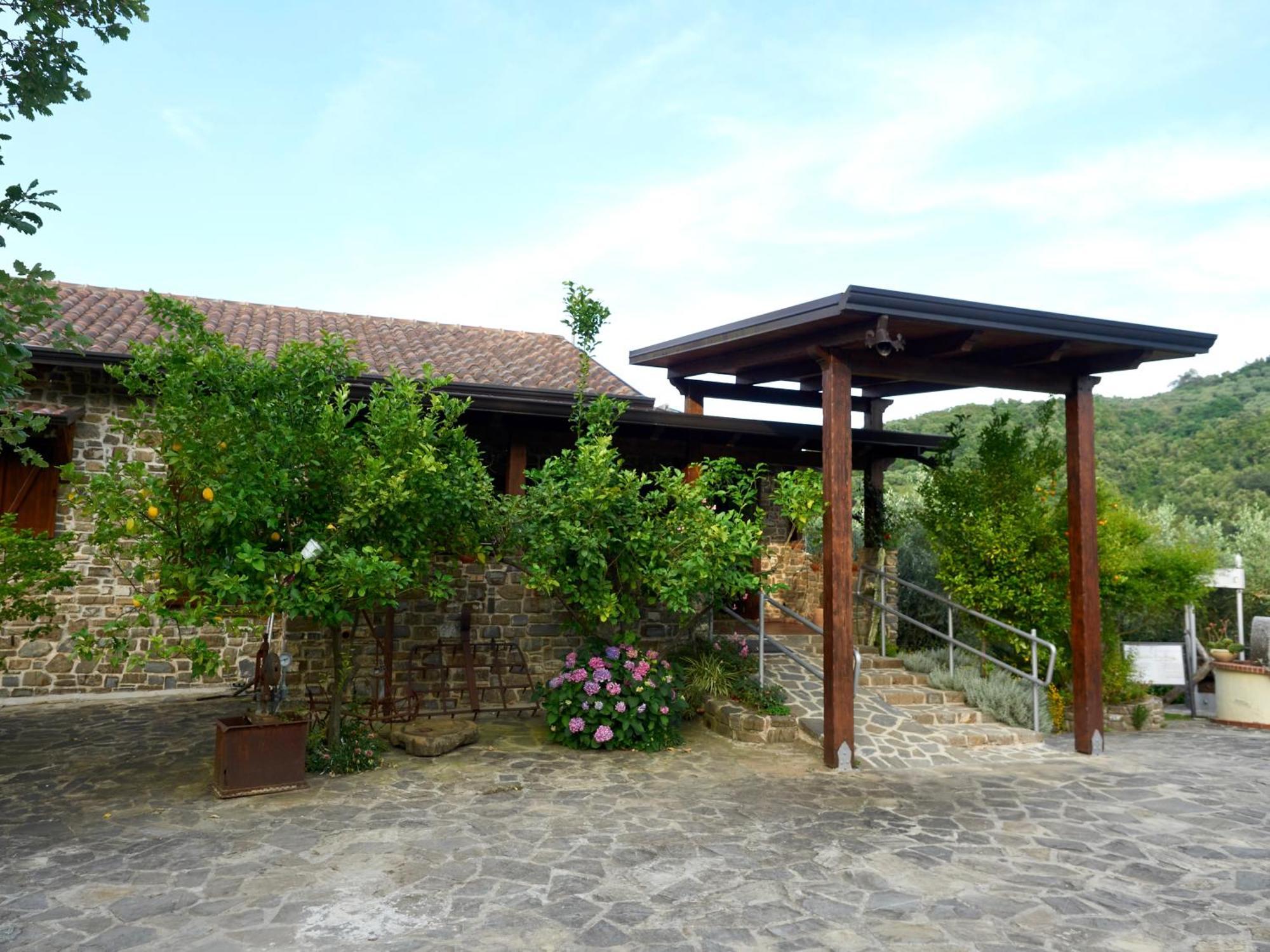 Vila Il Vecchio Frantoio Stella Cilento Exteriér fotografie