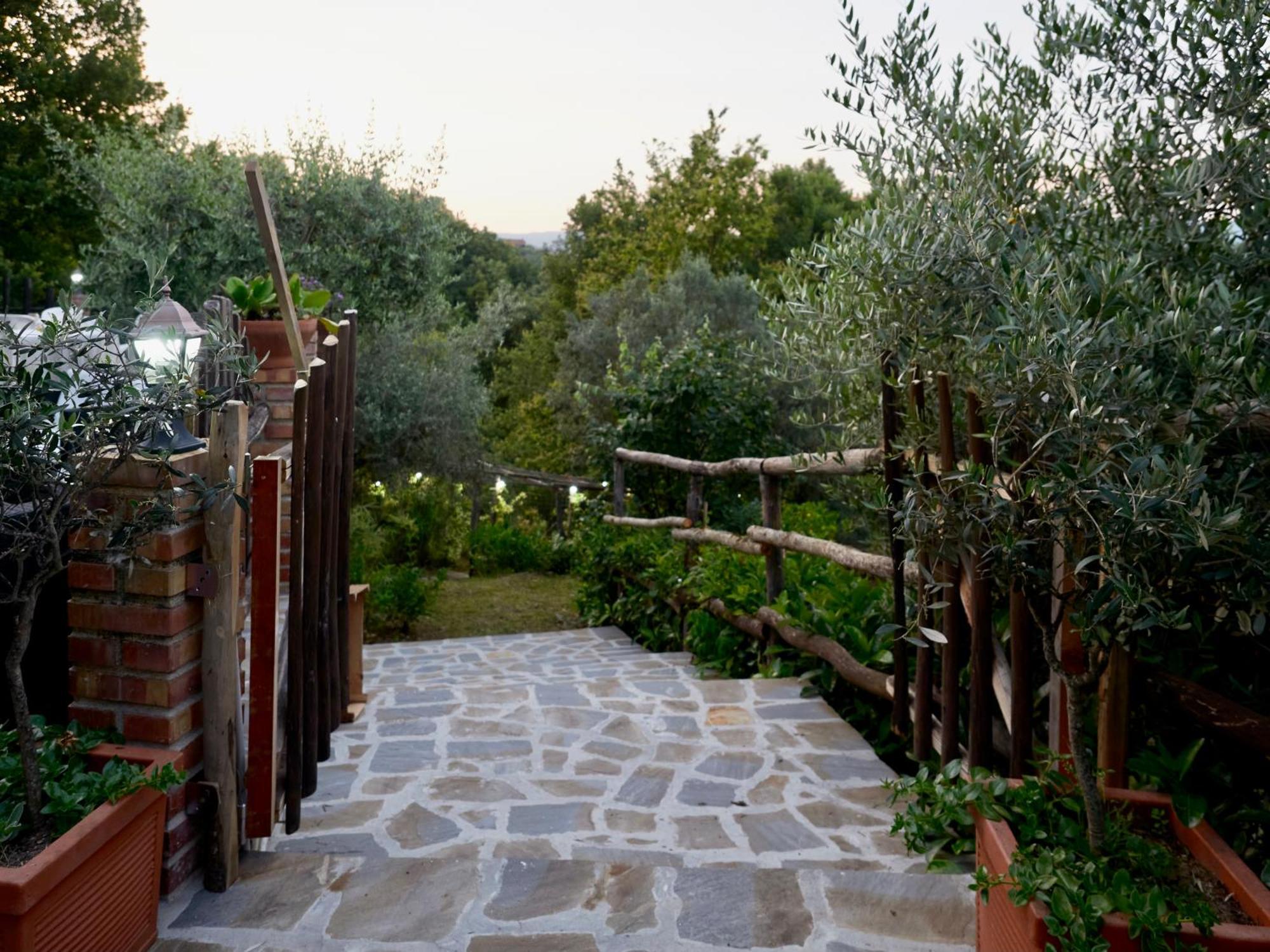Vila Il Vecchio Frantoio Stella Cilento Exteriér fotografie