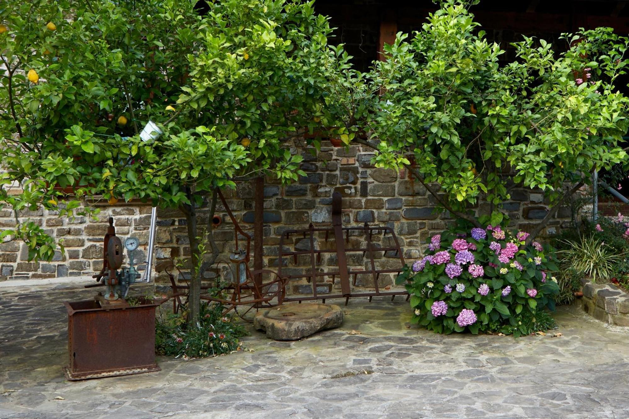 Vila Il Vecchio Frantoio Stella Cilento Exteriér fotografie